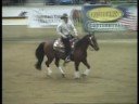 Chexinem Out At German Breeders Futurity 2008