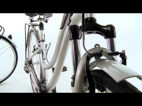 Schwinn Voyageur World Platform Review