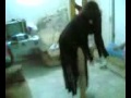 سعودية في بيت دعارة.flv