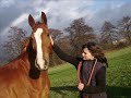Me And Bramin Me And Bramin