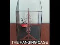 The Aurora Hanging Cage Paper Model The Aurora Hanging Cage Paper Model
