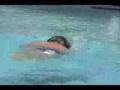 Finis Forearm Fulcrum