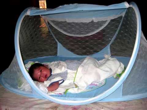 AZL - 