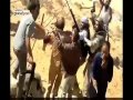 ‫جديد معمر القذافي يتعرض لاطلاق نار و طعن بالسكين Gaddafi‬   YouTube