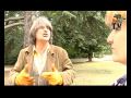 Dresser un chien:... :: Dans une vidéo précédente de la Pets... Voir la Vidéo