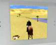 Trailer Mission Equitation DS