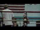 brian bazan fights