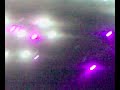 gogol-bordello-start-wearing-purple-alive-2008.html