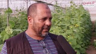 200 عائلة فلسطينية في مخيم الرشيدية بصور تعتاش من مهنة  الزراعة