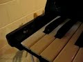 Korg MS-20 Moogerfooger Freakout (part 1 of 2)