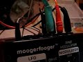Korg MS-20 Moogerfooger Freakout (part 1 of 2)