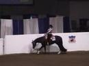 Always The Choice- 2003 Congress Amateur Western Pleasure Always The Choice- 2003 Congress Amateur Western Pleasure