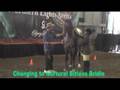 videos de Nurtural Bitless Transformation ...Head-bobbing Appy