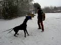 CLIP0053.AVI