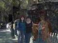 syria 2007