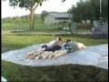 videos de Marvin6.mpg