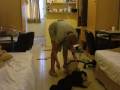 Maid Gettin' Paid