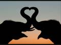 Camar She Luv Me Love Official Music Video and Lyrics