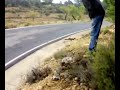 Rally Catalunya Costa Brava 07