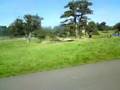 Longleat (vid.03)