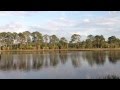 Dennis Creek Trail at Lower Suwannee National ...