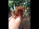 Animals Animals