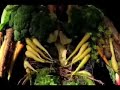 Vegtables Stand Up Vegtables Stand Up