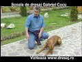 Tehnica de invatare a refuzului de hrana. Tehnica de invatare a refuzului de hrana.
