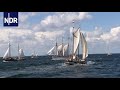 Stress für Schlepper zur Hanse Sail | die nordreportage | NDR Doku 