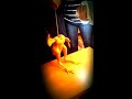 Vet aquí la gravació de l'escena del protagonista del #CompraHorta !!! http://t.co/wf2imoy2