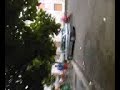 GALLUZZO E L\