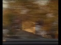 CHEVOCACHAI (teaser) - Dirección Laura Bondarevsky