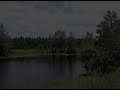 Georgia Land Auction