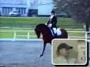 Interview with Olympic Rider Carole Grant - IALHA Nationals