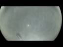PLANETARIUM OF THE SOUL, ANIMATION BY CLEMENS HABICHT, MUSIC BY CLINIC, WWW.CLINICVOOT.ORG