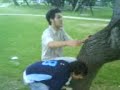 boludeces en el arbol ! boludeces en el arbol !