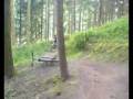 haldon woods burm section