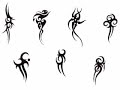 Tribal Tatoo - Wzory Tatua?y