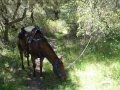 Sonntag in Kalifornien