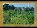 ASLA 2008 General Design Award Winners