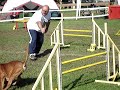 concours agility obernai arnac