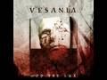 Vesania - God the Lux