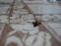 videos de mariposa animadinha
