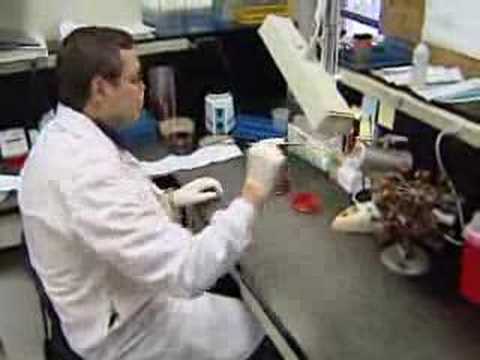 MRSA Facts & Fiction