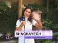 Javedan Show Oct 8-09-P9.mov