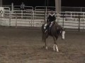 taz wp.wmv