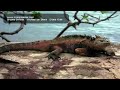 Brooke Shields   Michael Ian Black   Diana Krall.mov