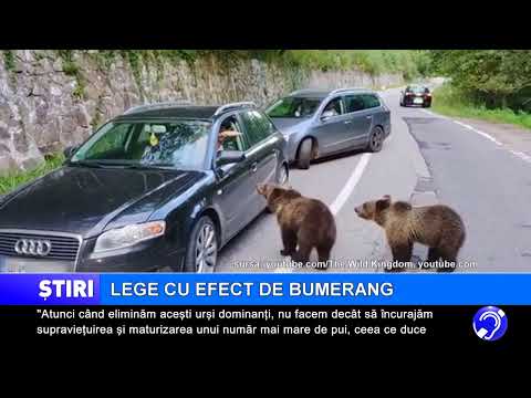 Lege cu efect de bumerang