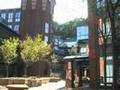 My School Portrait - Quinnipiac University (Hamden, CT)