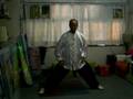陳式太極拳